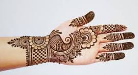 mehndi plan