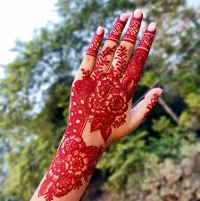 mehndi plan