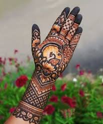 Rajasthan mehndi