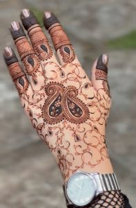 Stylish henna plans