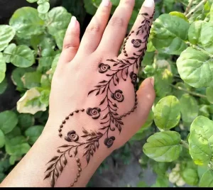 plan of henna