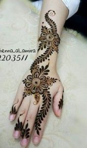Stylish Henna plans