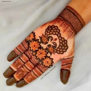 Stylish Henna Plans