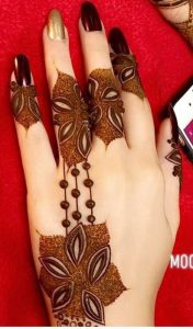 Stylish Henna Plans