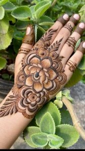 Stylish henna plans