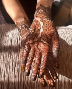 elegant stylish mehndi design