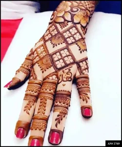 simple mehndi design indian
v