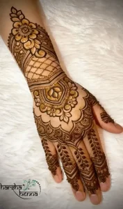 simple henna plans