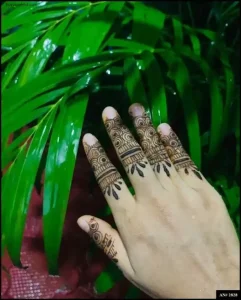 Simple Henna Plans