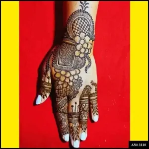 simple mehndi plans